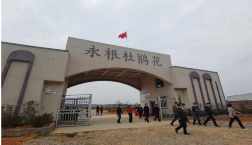 1667191352161452.png 江西生產(chǎn)基地.png